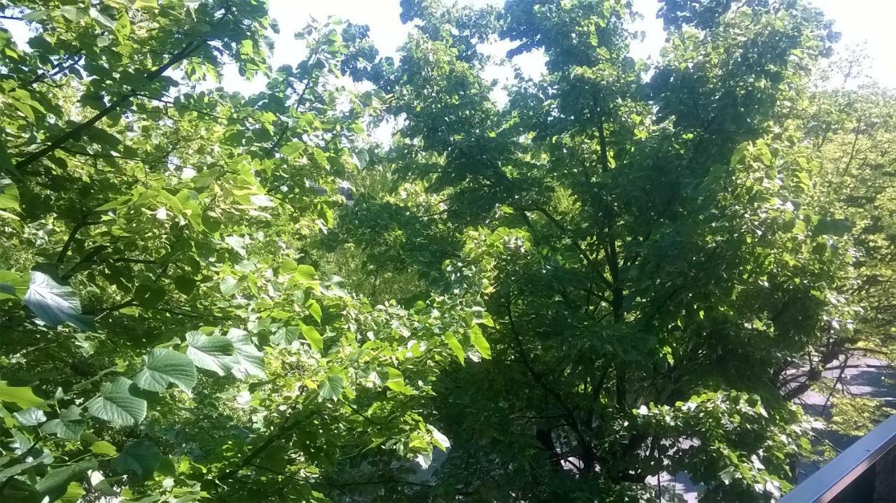 Appartamento La Bonifica Pescara Bagian luar foto